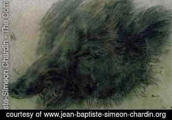 Jean-Baptiste-Simeon Chardin - Head of a Wild Boar
